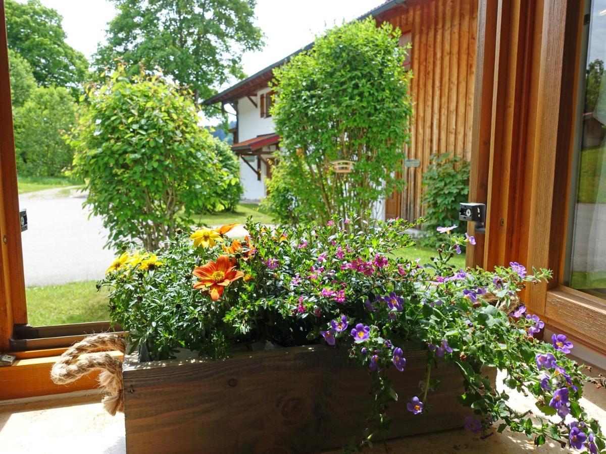 Ferienwohnung Murmeltier Sachrang Exterior photo